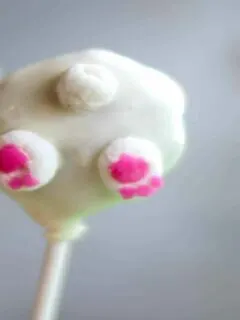 Bunny Bum Cake Pops - The Culinary Compass