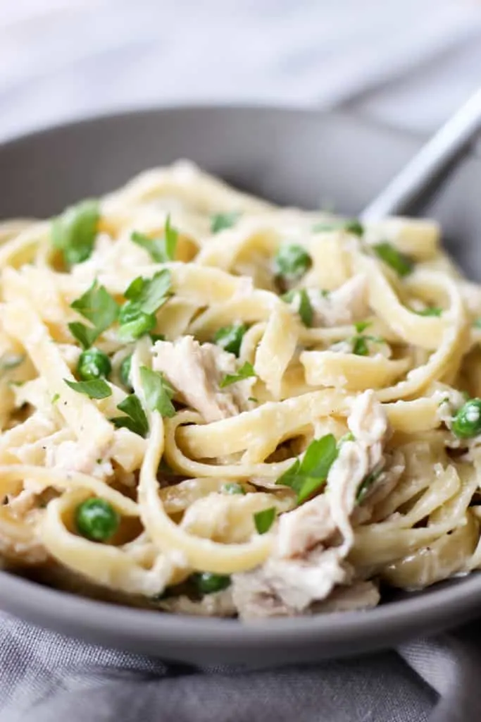 One Pot Chicken Fettuccine Alfredo - The Culinary Compass