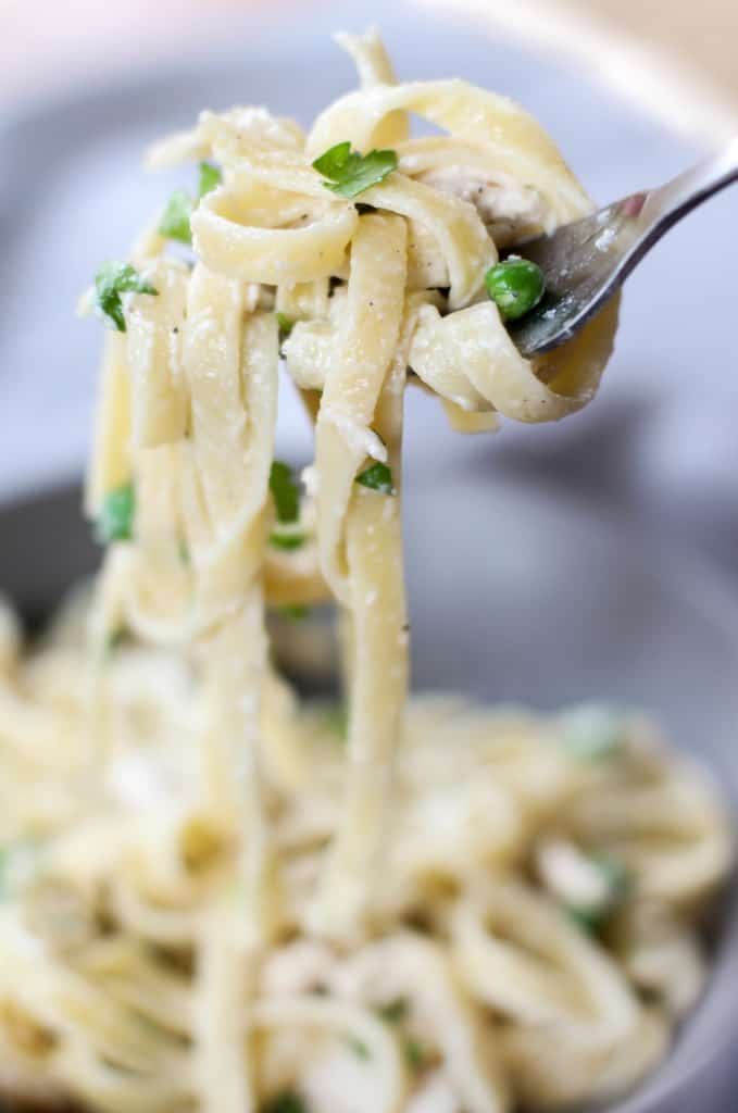 One Pot Chicken Fettuccine Alfredo - The Culinary Compass