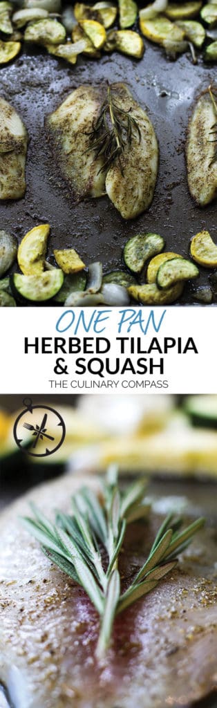 This One Pan Herbed Tilapia and Squash is a great 30 minute meal with little clean up! Perfect for weeknights!