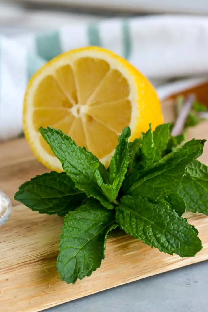 This Mint Hot Toddy is the easiest drink to make to keep cozy on a cold day.