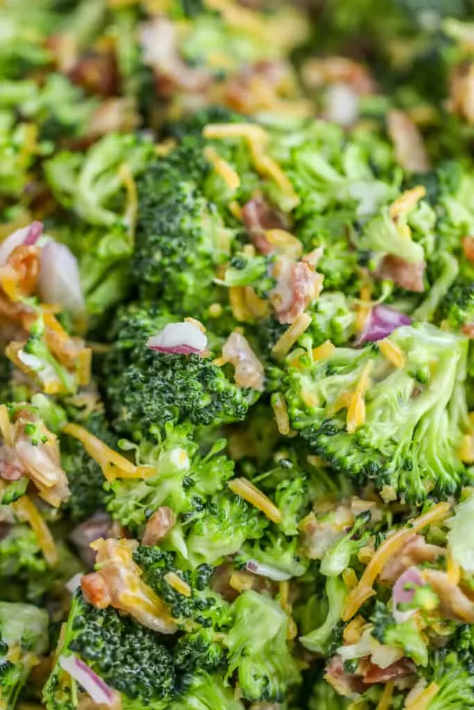 This easy Broccoli Salad with Bacon will become a classic for all of your potlucks and tailgates with just a few ingredients needed to bring it together.