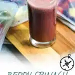 Berry Spinach Smoothie