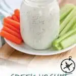 This Greek Yogurt Ranch Dip recipe is a quick and easy way to make a low calorie version of your favorite dip!