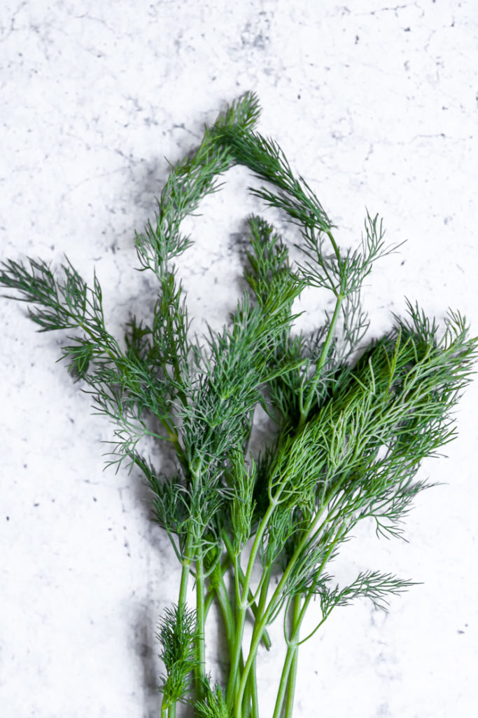 a sprig of fresh dill