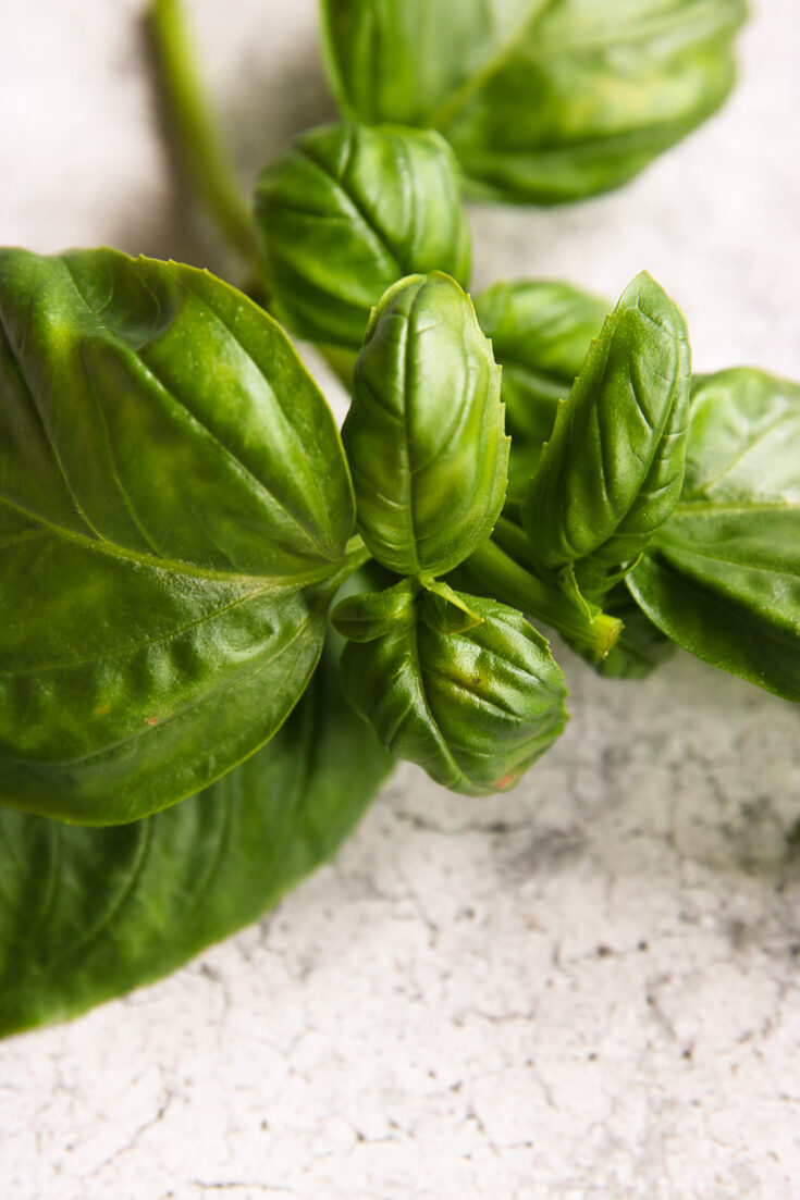 Thai Basil vs. Basil The Culinary Compass