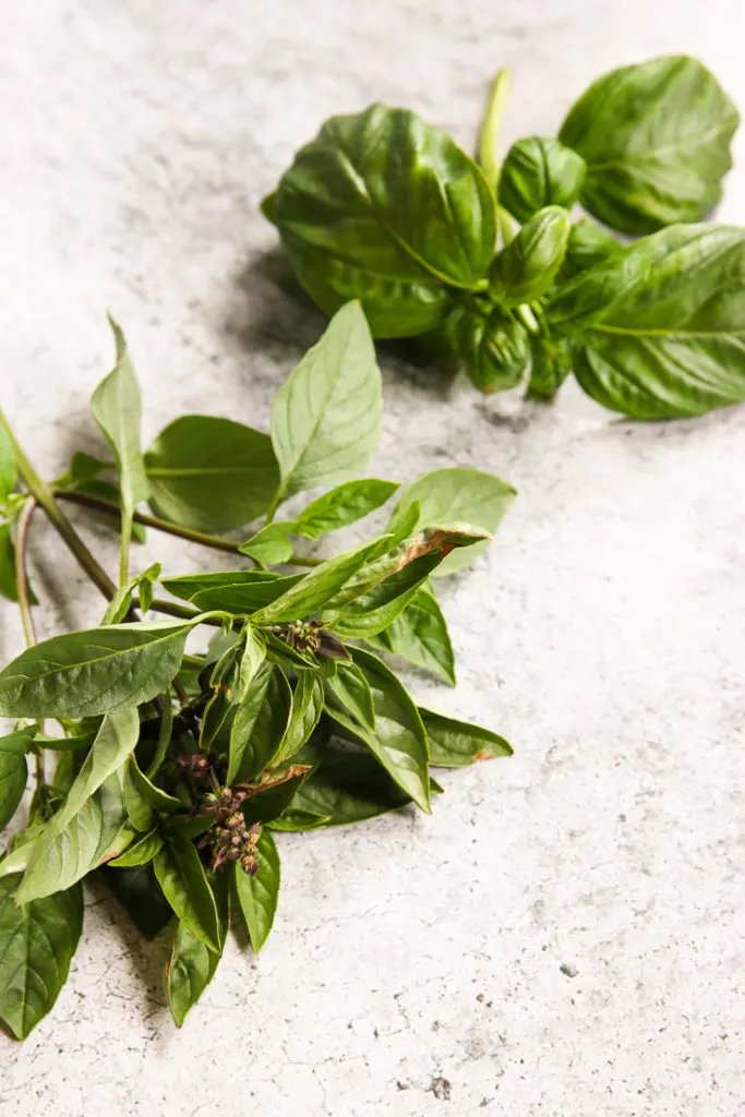 A shot of Thai Basil and Basil