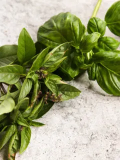 A shot of Thai Basil and Basil