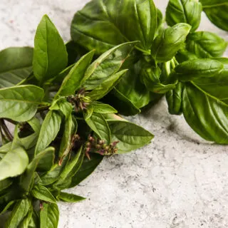 A shot of Thai Basil and Basil