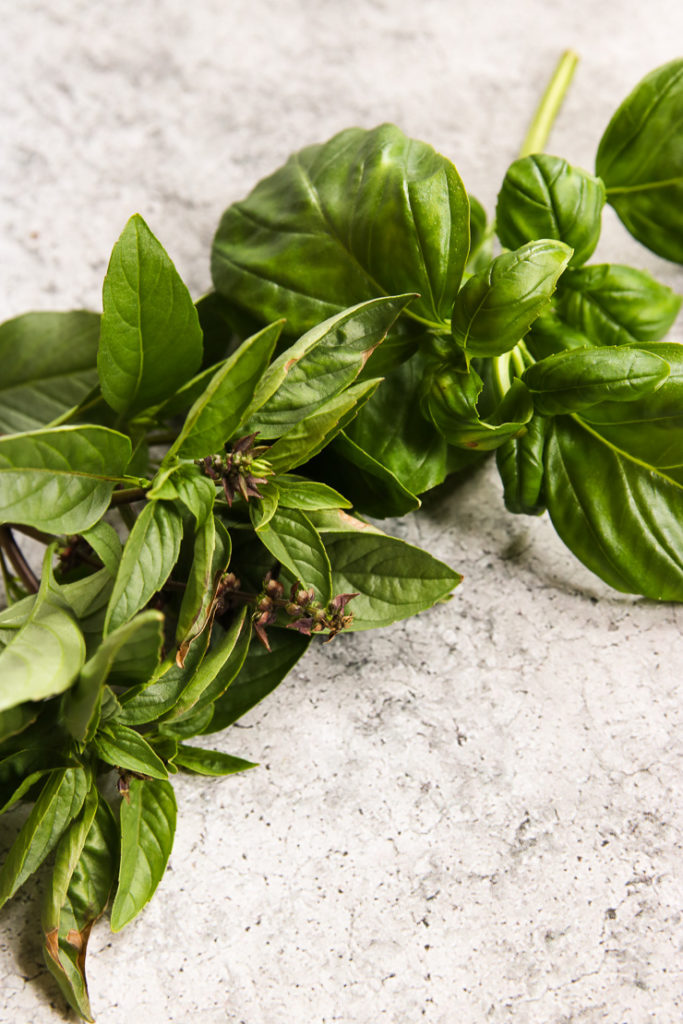 A shot of Thai Basil and Basil