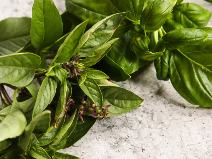 A shot of Thai Basil and Basil