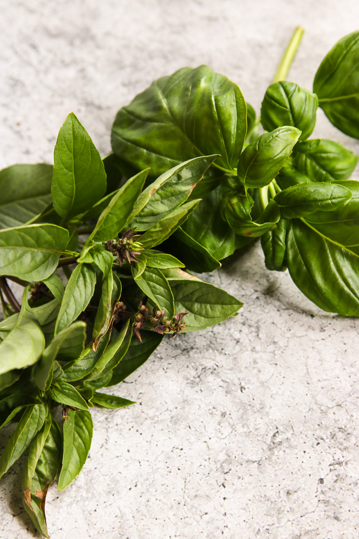 Thai Basil vs. Basil - The Culinary Compass