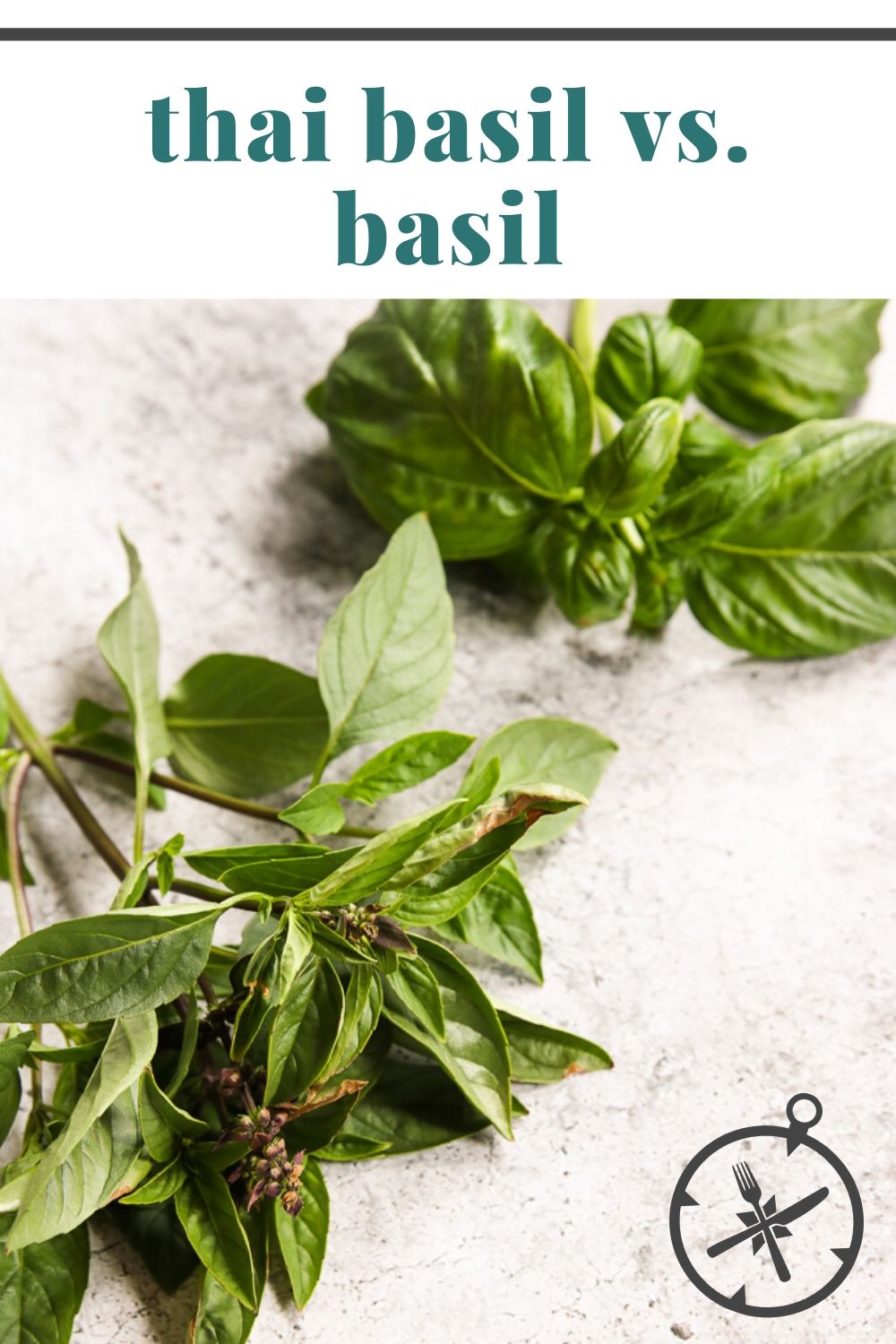 Thai Basil vs. Basil The Culinary Compass