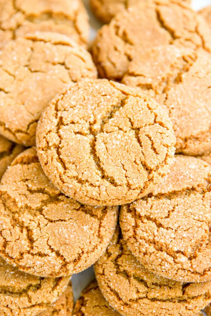 a close up of a ginger snap covered in sugar